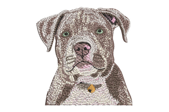 American Bully Puppy: A Festive Embroidery Review